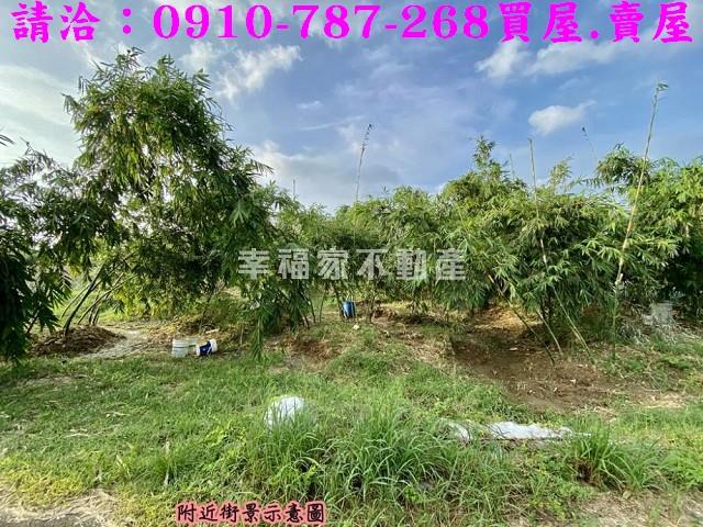 關廟農地-10