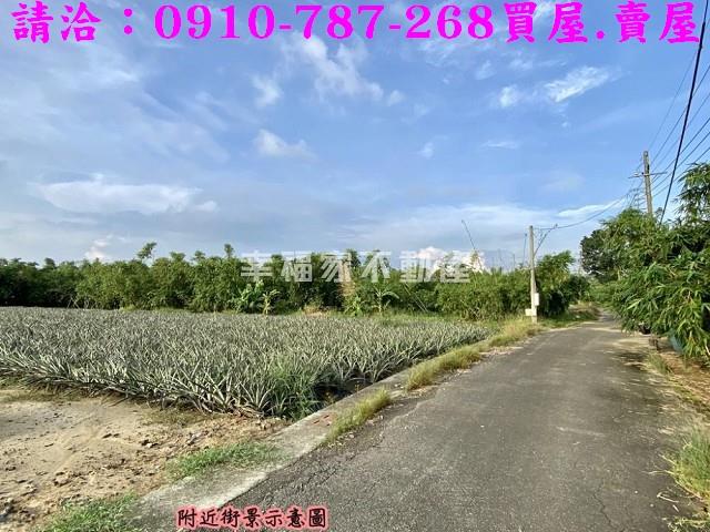 關廟農地-1