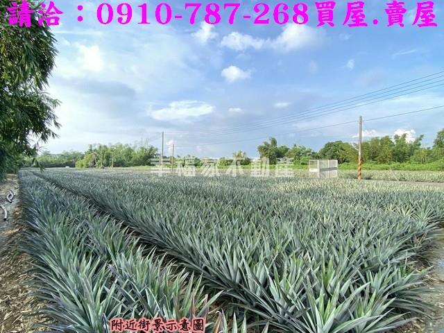 關廟農地-2