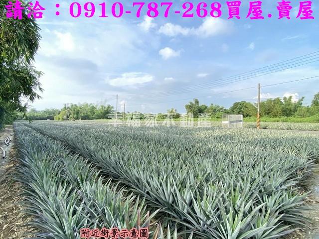 關廟農地-4