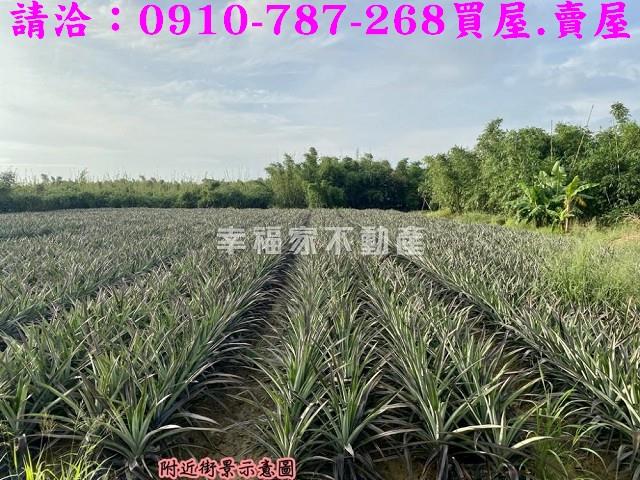 關廟農地-6