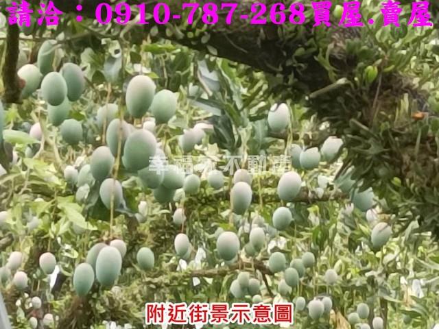 台南農地-9