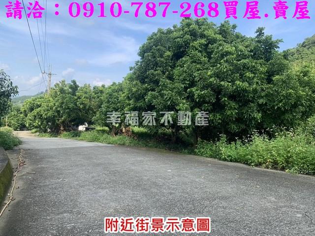 台南農地-11