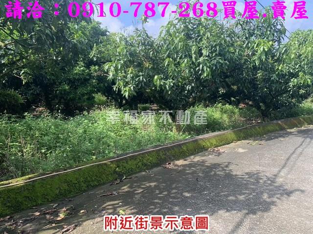 台南農地-12