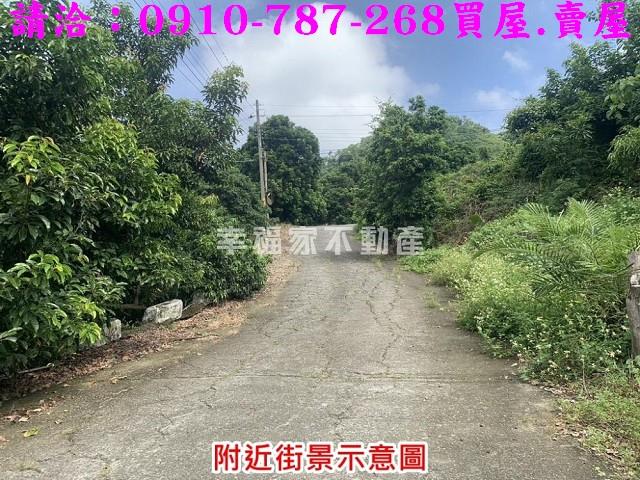 台南農地-2