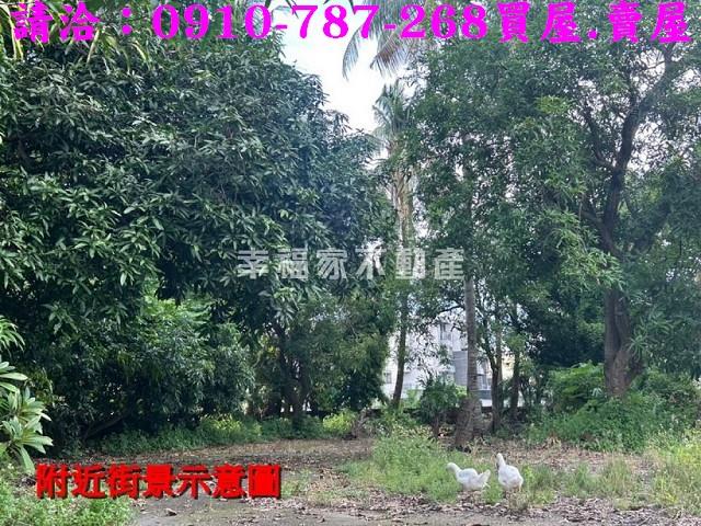 台南新化農地-9