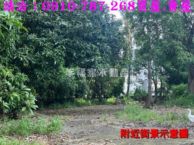 台南新化農地-10