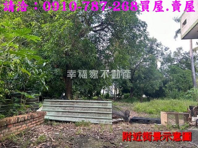 台南新化農地-11