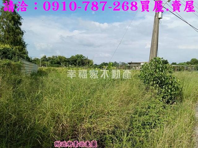 台南關廟農地-9