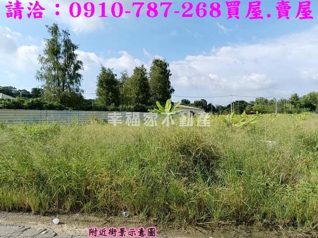 台南關廟農地-2