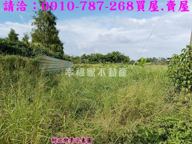 台南關廟農地-3
