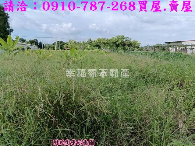台南關廟農地-5