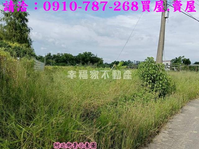 台南關廟農地-6