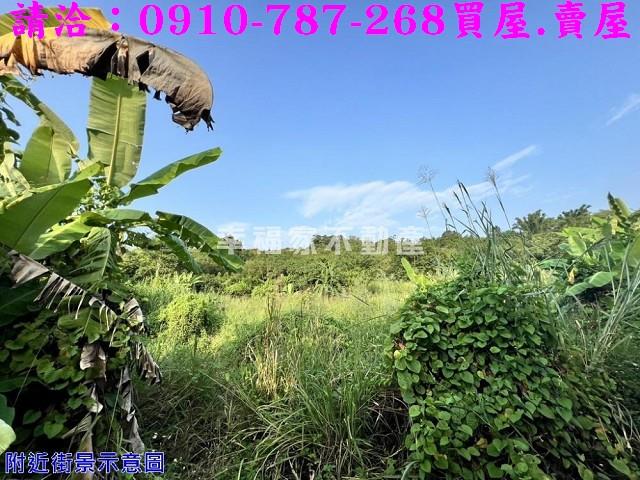 大內農地-2