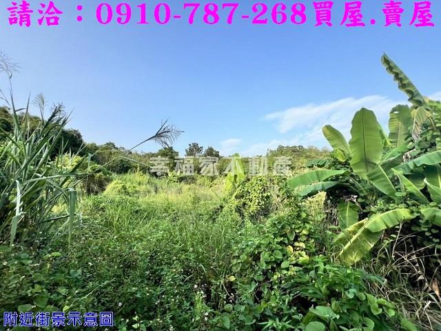 大內農地-3