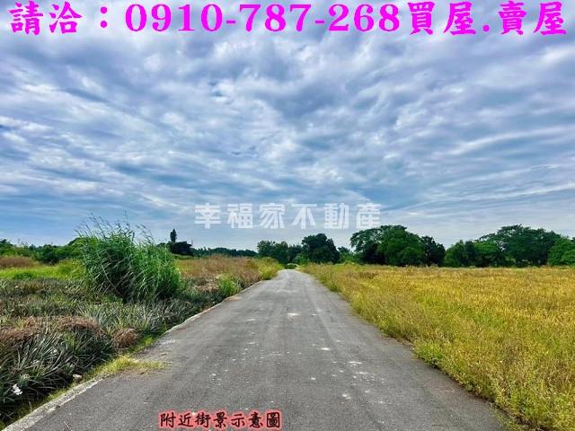 台南農地-14