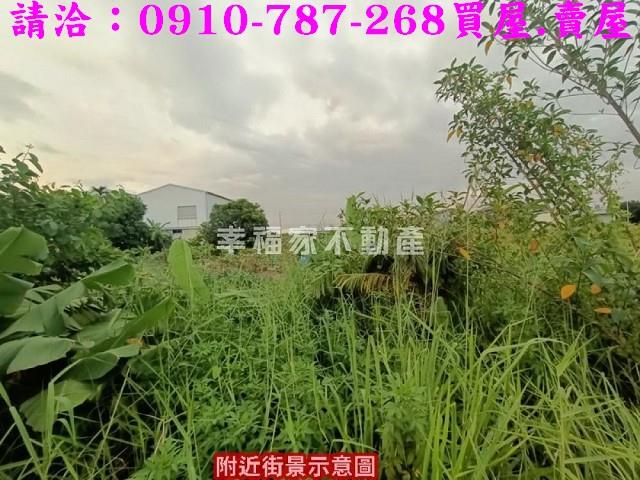 台南農地-4