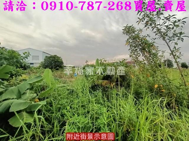 台南農地-5