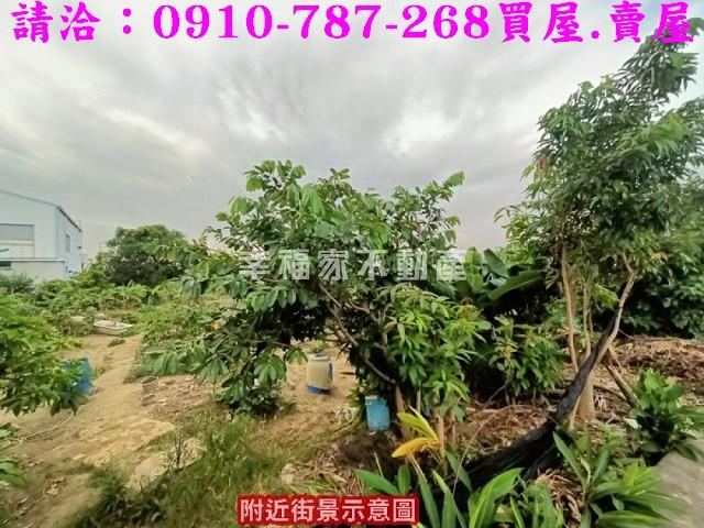 台南農地-6