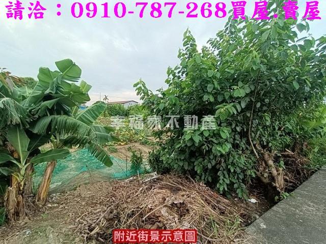 台南農地-7