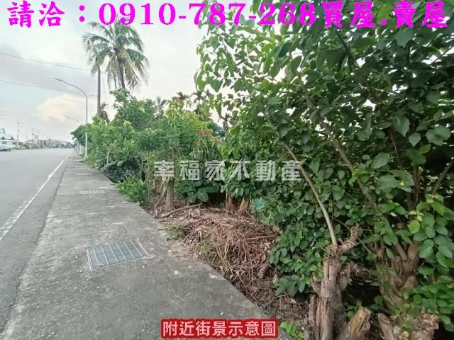 台南農地-8