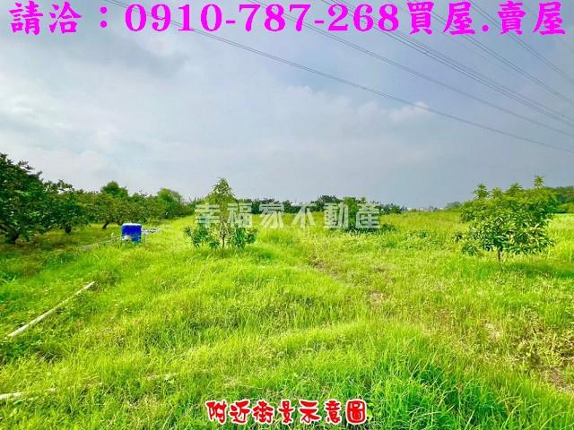 台南農地-8