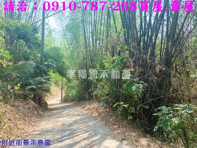 台南農地-9