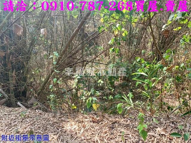 台南農地-10
