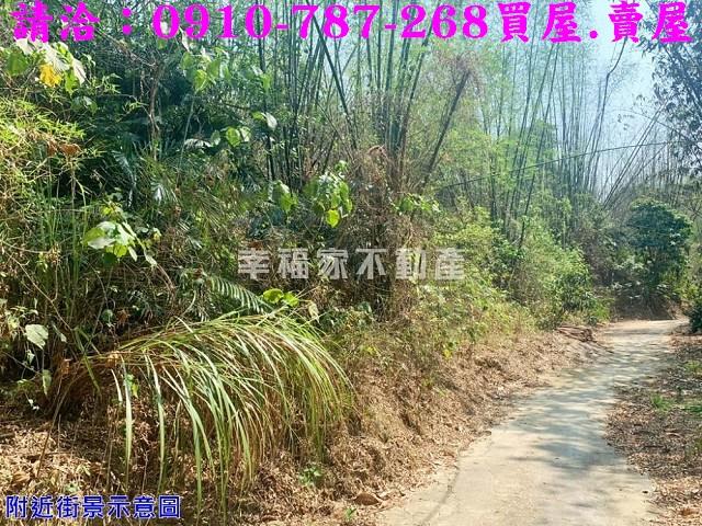 台南農地-11