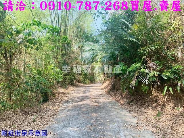 台南農地-3