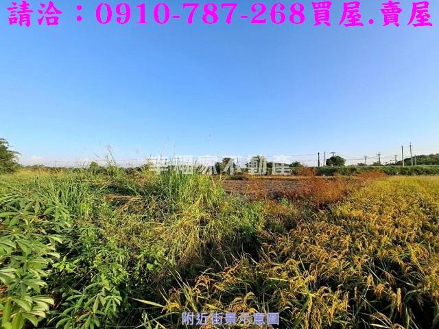官田農地-3