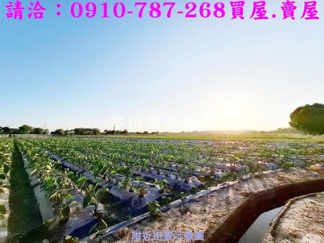官田農地-5