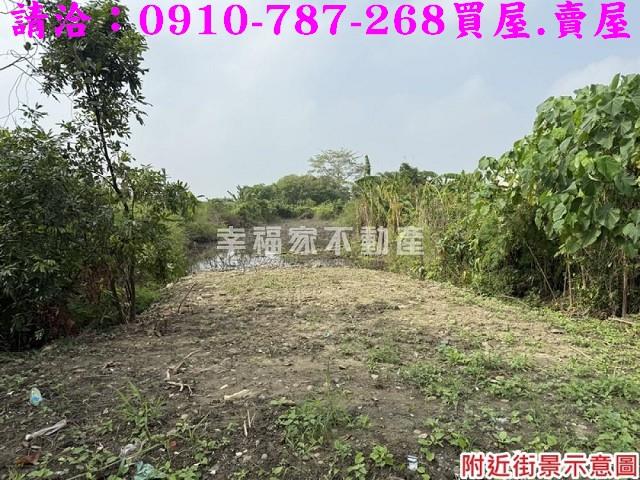 大內農地-6