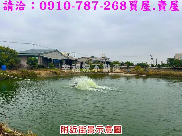 麻豆農地-7