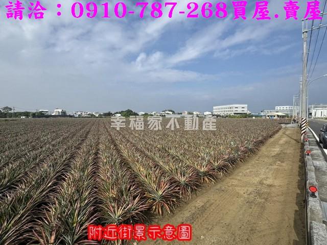 山上農地-1