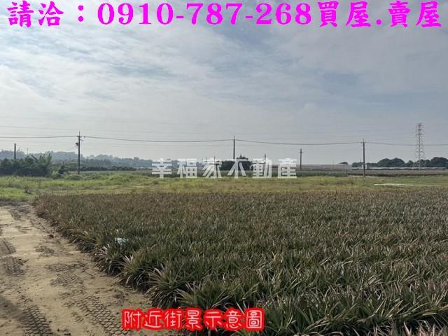 山上農地-8