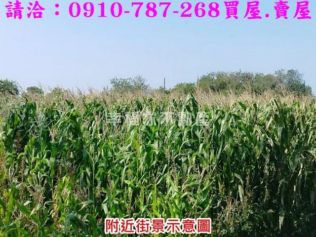 將軍農地-2