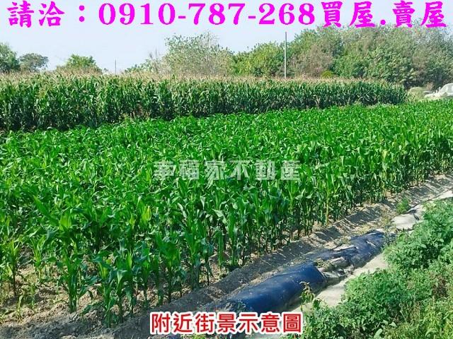 將軍農地-4