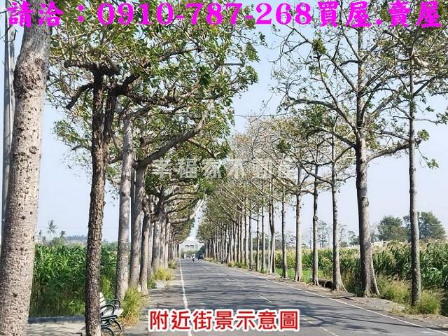 將軍農地-8