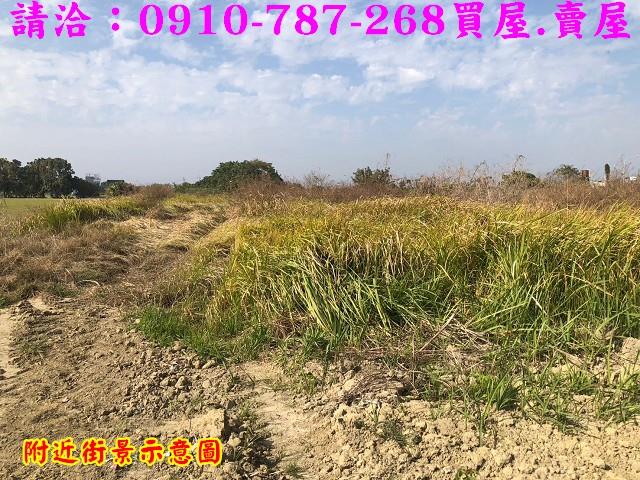 台南善化農地-10