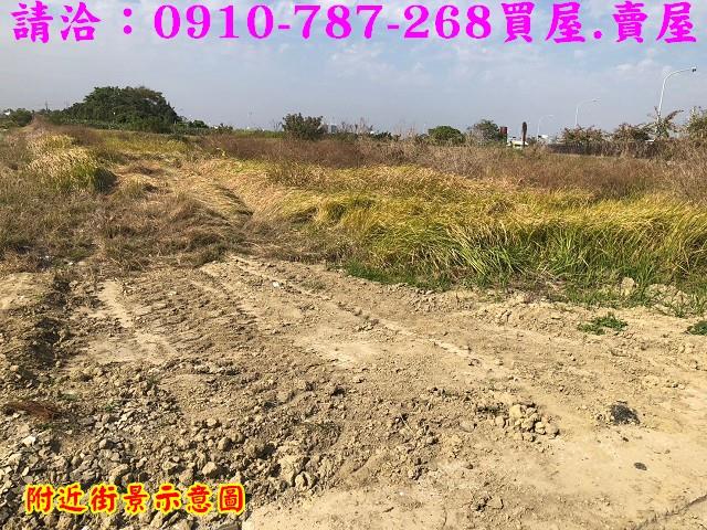 台南善化農地-8