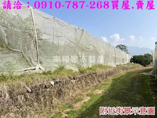 台南玉井農地-8
