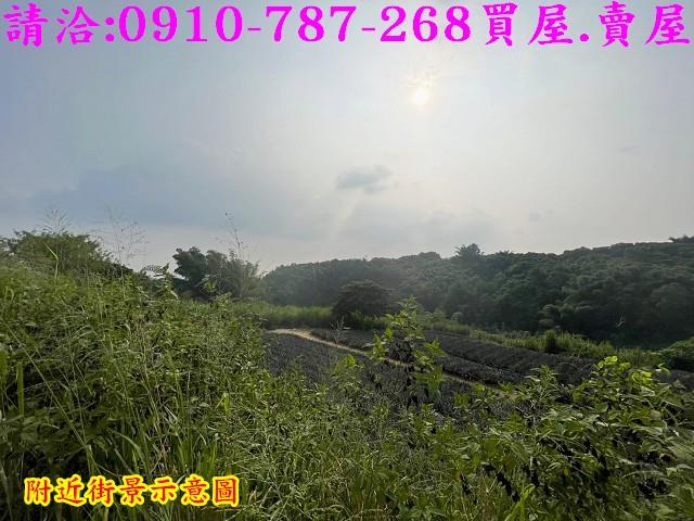關廟農地-9