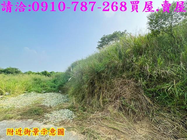 關廟農地-12