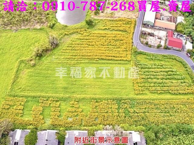 台南農地-2