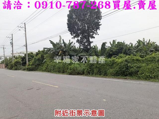 台南新市農地-9