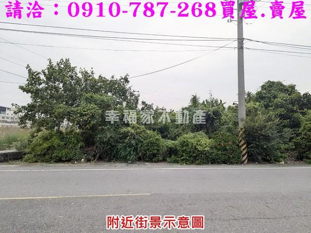 台南新市農地-5