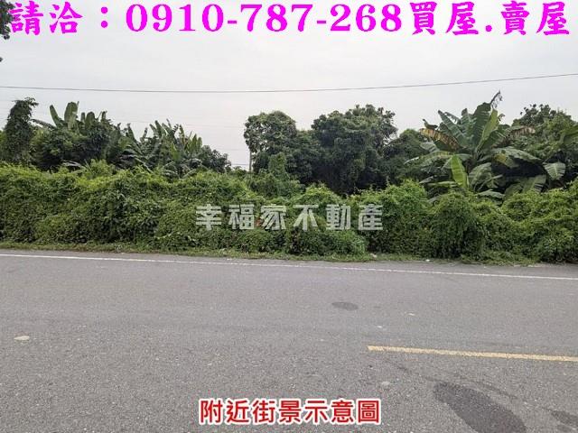 台南新市農地-8