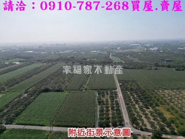 麻豆農地-9
