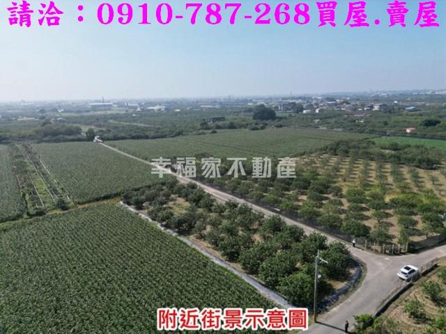 麻豆農地-10